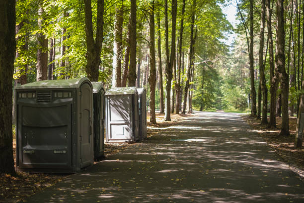 Best Porta potty rental for parties  in Teutopolis, IL
